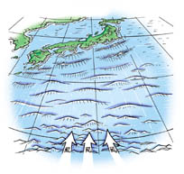 波はどこからくるの？